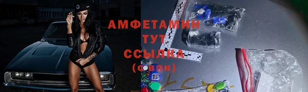 амф Карпинск