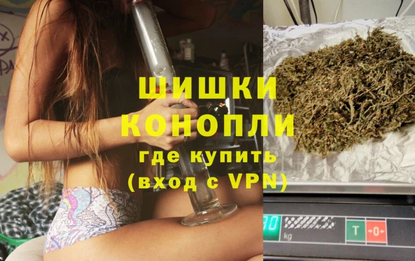амф Карпинск