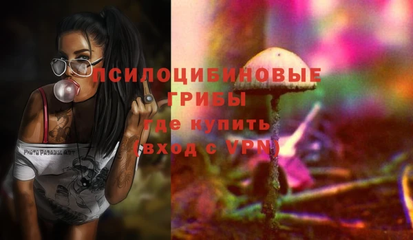 амф Карпинск
