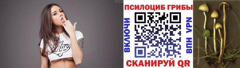 Галлюциногенные грибы мицелий  Купить закладки  Обь 